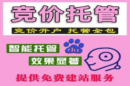 案例分享：SEM优化实战案例解析